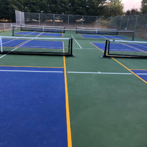 Multiple pickleball courts in one location